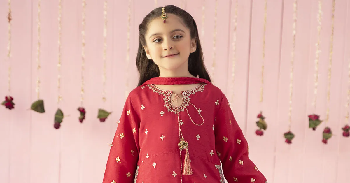 3 Piece Embroidered Raw Silk Suit | MKS-EF24-06