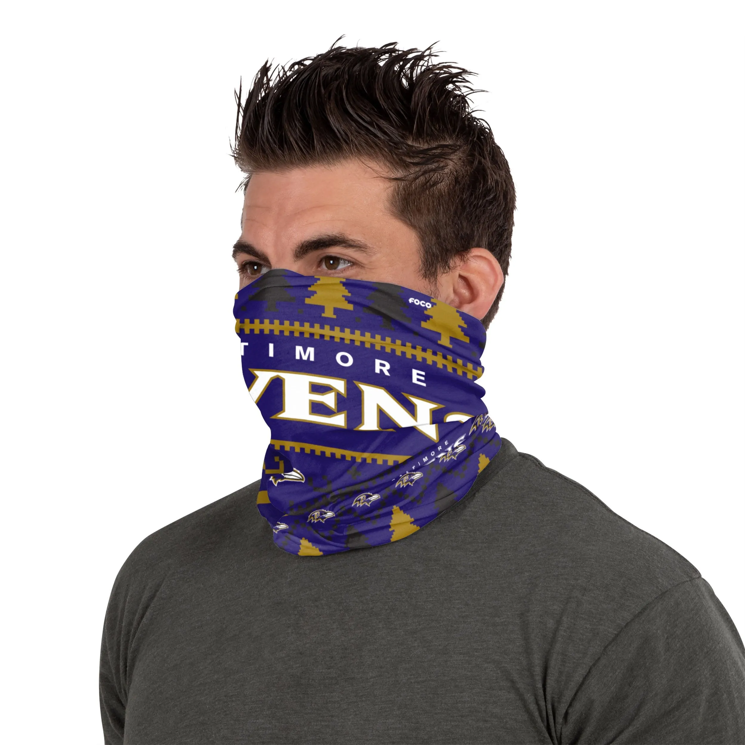 Baltimore Ravens NFL Wordmark Holiday Gaiter Scarf