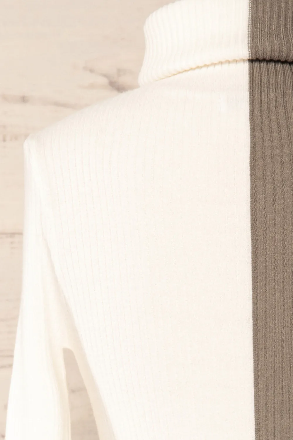 Danaey | Two-Tone Ribbed Turtleneck