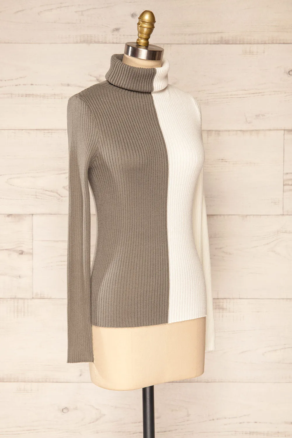 Danaey | Two-Tone Ribbed Turtleneck