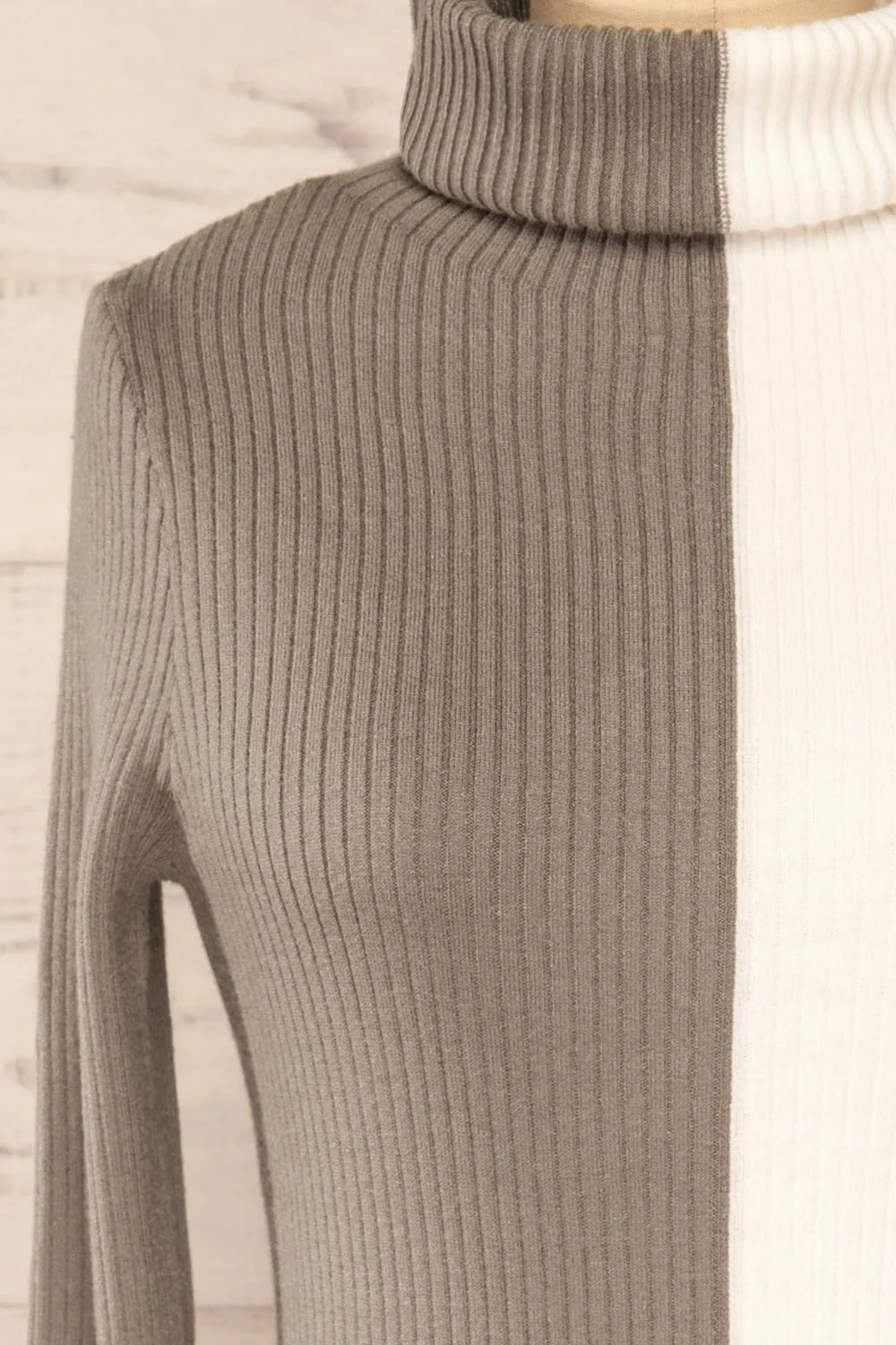 Danaey | Two-Tone Ribbed Turtleneck