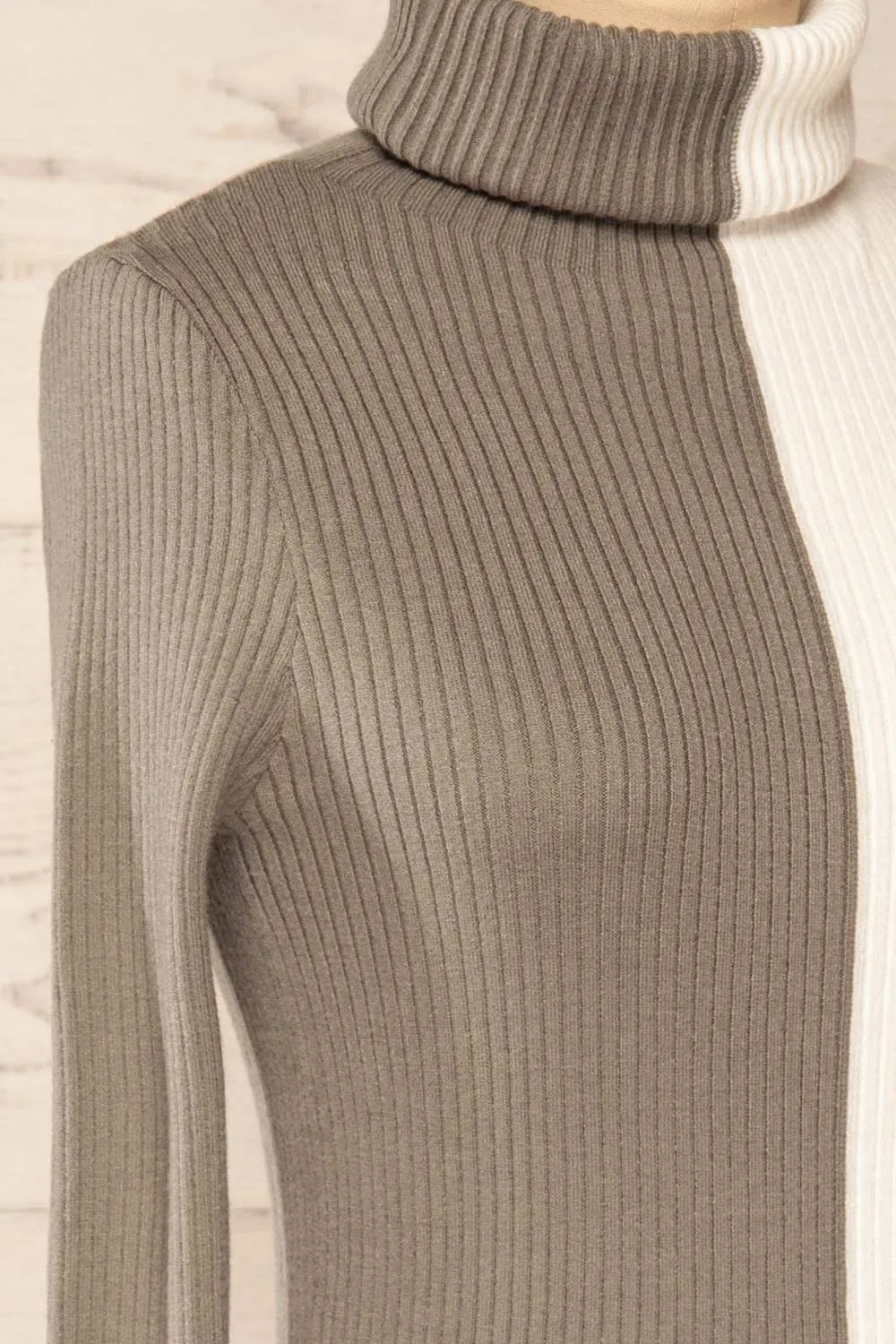 Danaey | Two-Tone Ribbed Turtleneck