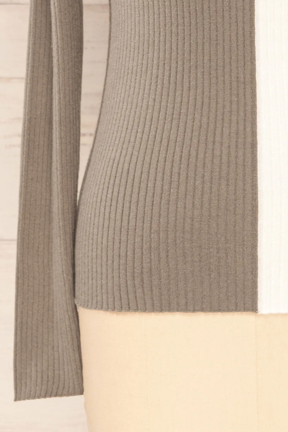 Danaey | Two-Tone Ribbed Turtleneck
