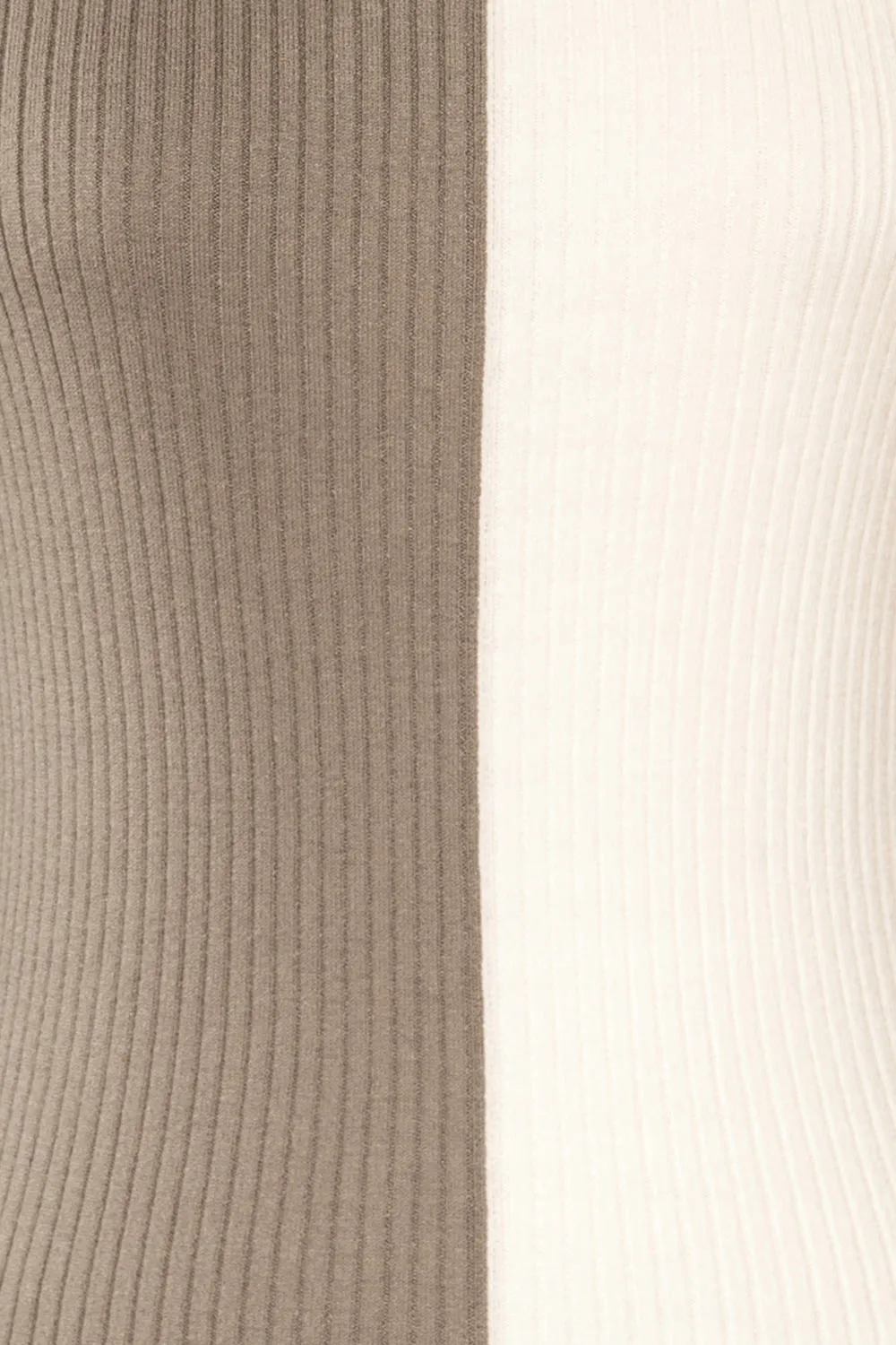 Danaey | Two-Tone Ribbed Turtleneck