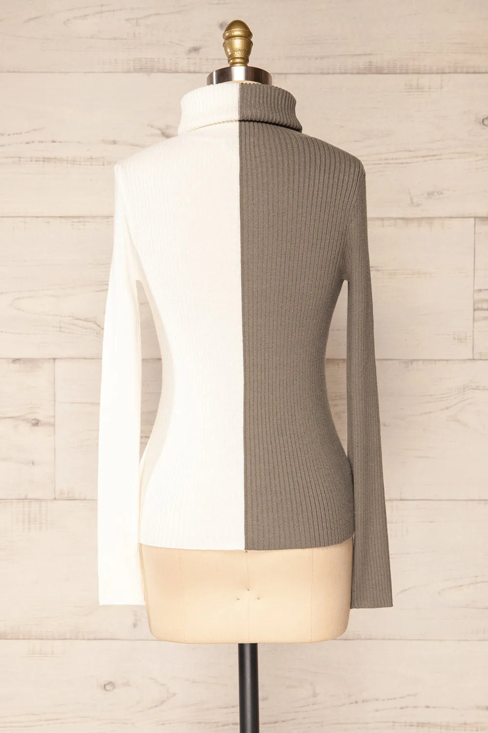 Danaey | Two-Tone Ribbed Turtleneck
