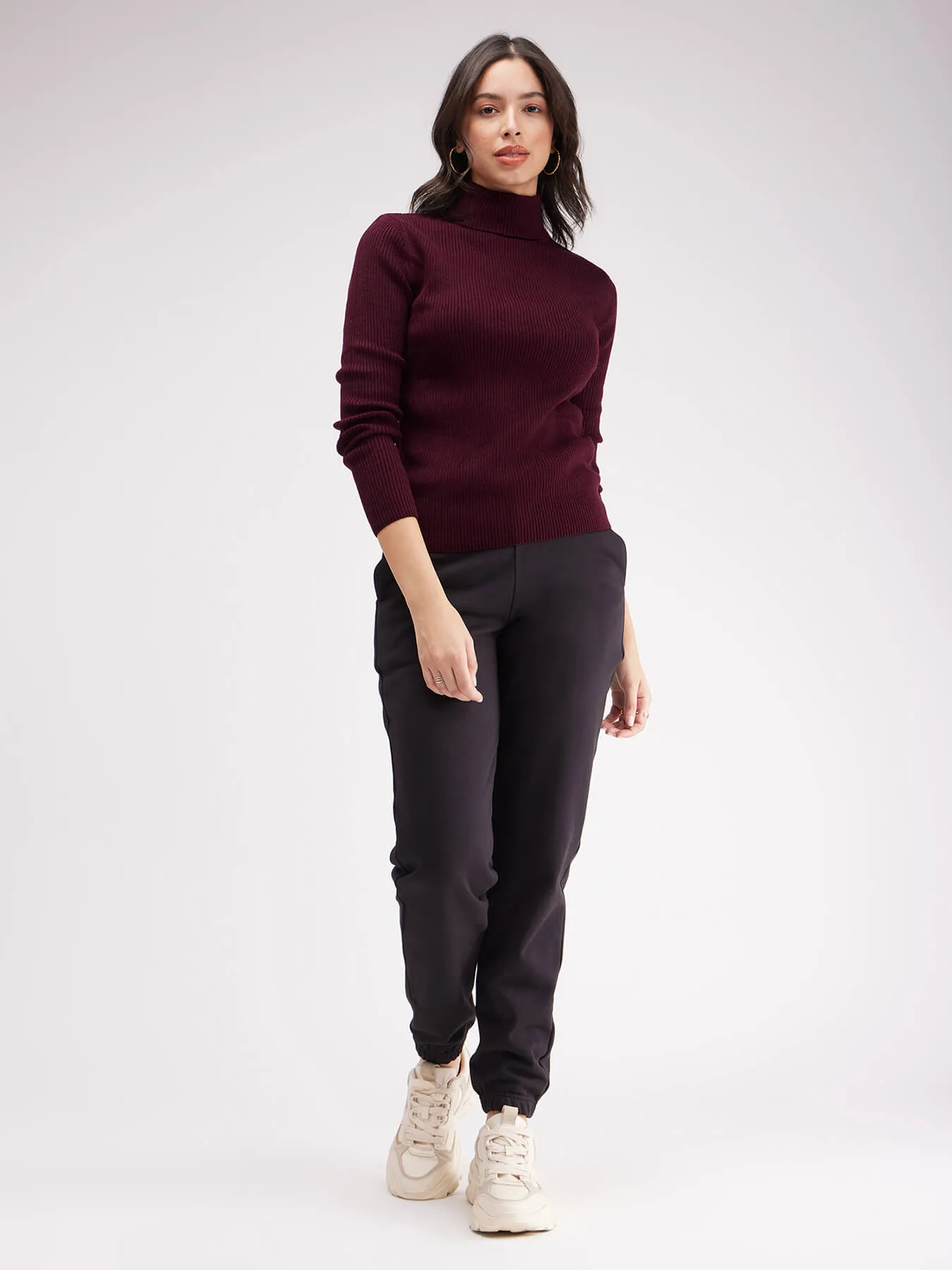Turtle Neck Ribbed Sweater - Wine